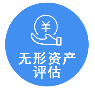 无形资产评估